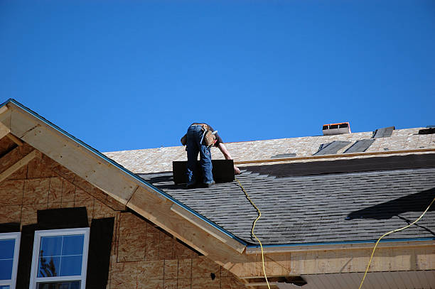 Best Solar Panel Roofing Installation  in Pine Island, MN