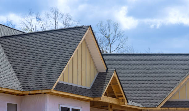 Roof Insulation Installation in Pine Island, MN